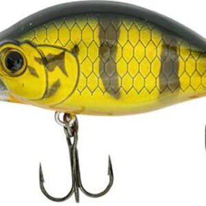 QUANTUM Fat Minnow DR