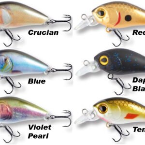 ROBINSON Arnie F35 Violet Pearl